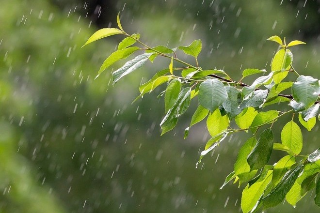 В ряде областей Казахстана ожидаются дожди