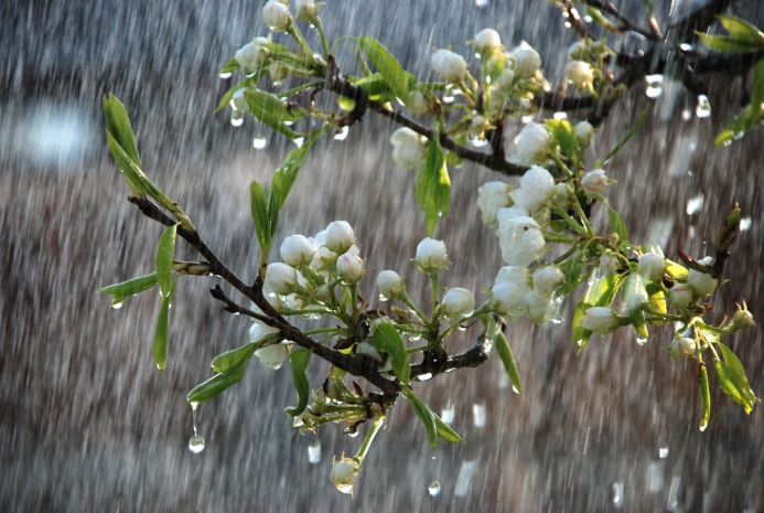 1 и 2 мая в Казахстане ожидаются дожди