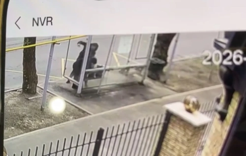 Пенсионерку после нападения выписали на амбулаторное лечение