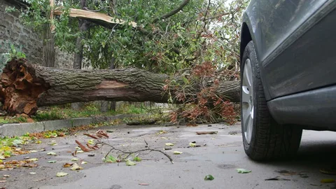 В Казахстане выросло количество ЧС природно-техногенного характера