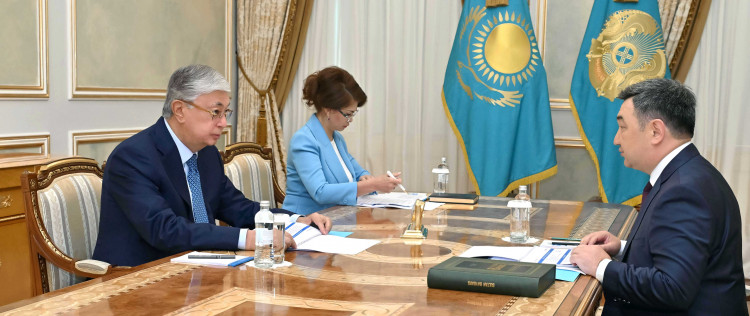 Токаев принял министра информации и общественного развития