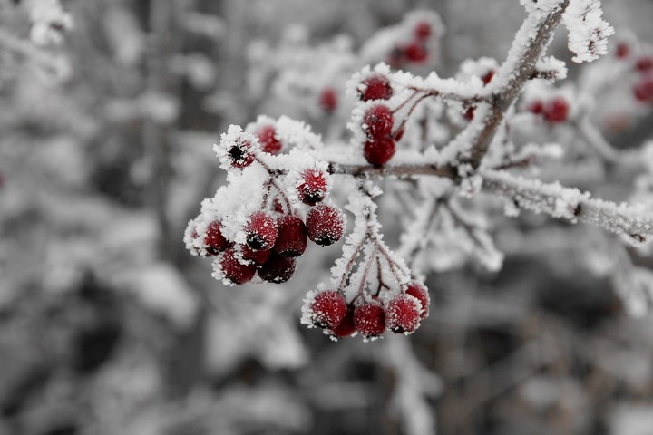 Морозная погода без осадков ожидается на большей части Казахстана