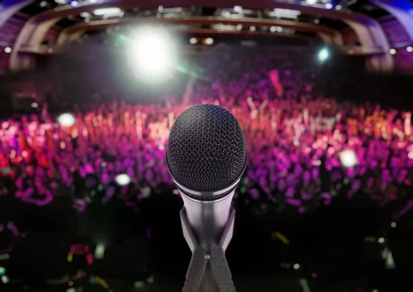 Мажилис одобрил закон о запрете скрытого использования фонограмм на концертах