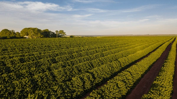 Китайская компания вложит $20 млн в агрохаб в Казахстане