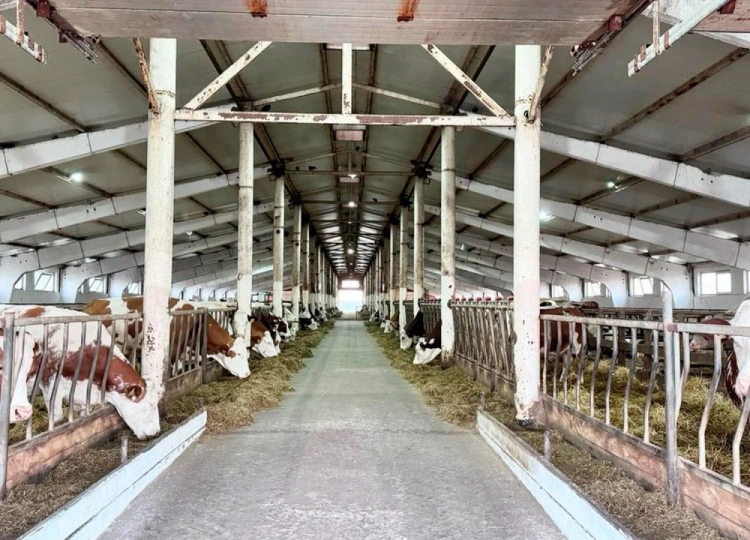 В Казахстане запустят льготное кредитование по нескольким направлениям для развития животноводства