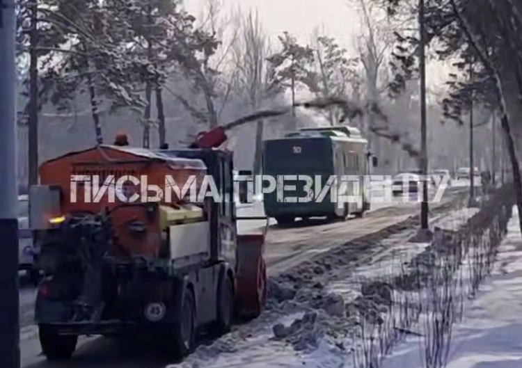 Экологов Алматы просят проверить возможную обработку деревьев реагентами в роще Баума