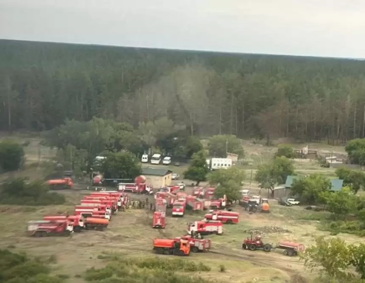 Продолжается тушение лесного пожара в Павлодарской области