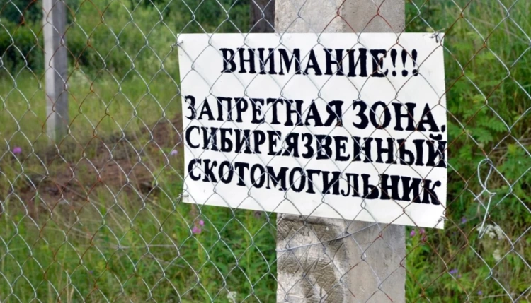 Из-за наводнения в ЗКО вскрылись 14 могильников сибирской язвы