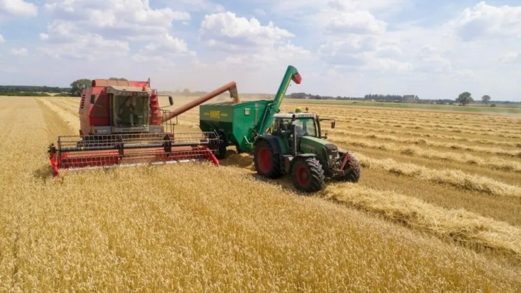Сбор урожая начался в Казахстане