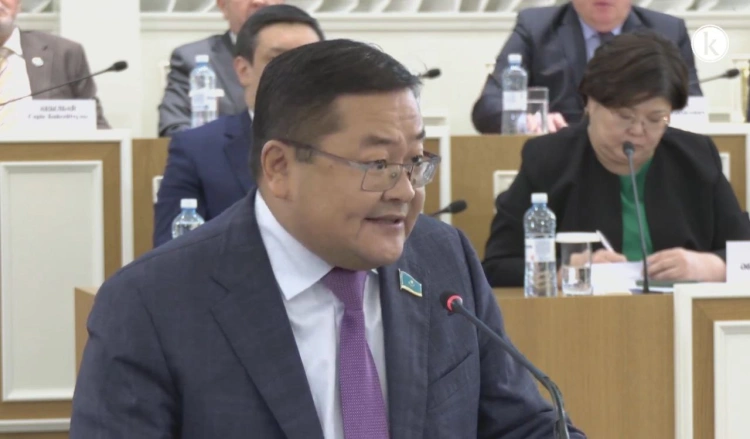 Штаб для разъяснения проекта новой Конституции предложили создать в Казахстане