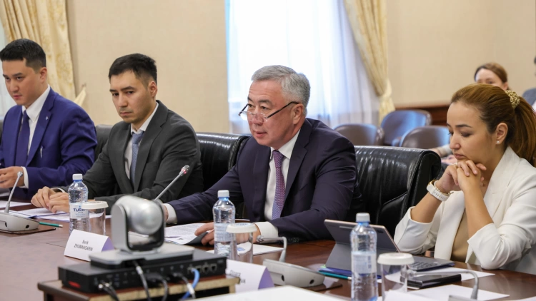 Жумангарин встретился с главой логистической компании Пакистана