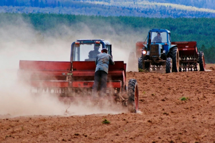 Казахстанским фермерам при дефиците бюджета будет предложена частичная субсидия