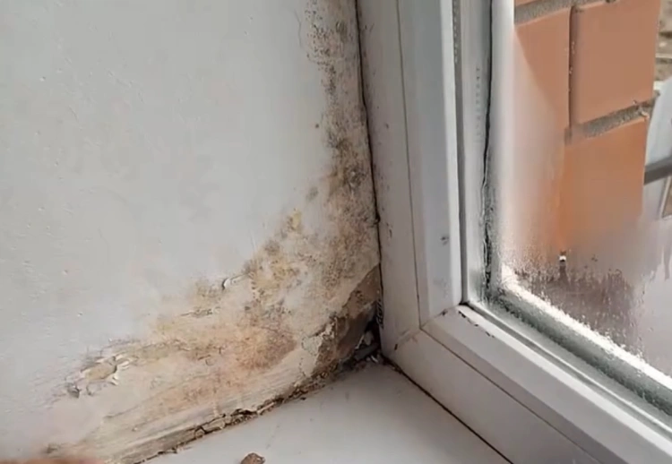 Дома за 50 миллионов: жители Бухар-Жырауского района жалуются на социальное жильё