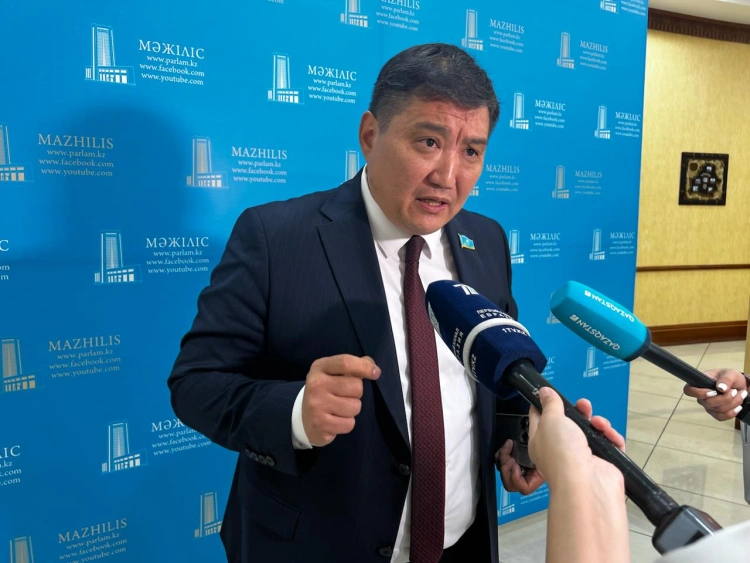 Депутат потребовал остановить строительство коттеджей в предгорьях Алматы