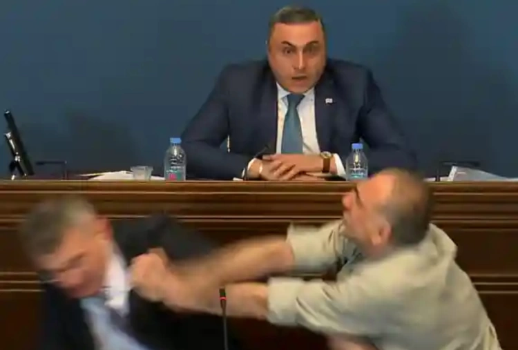 В парламенте Грузии подрались из-за закона об "иноагентах"