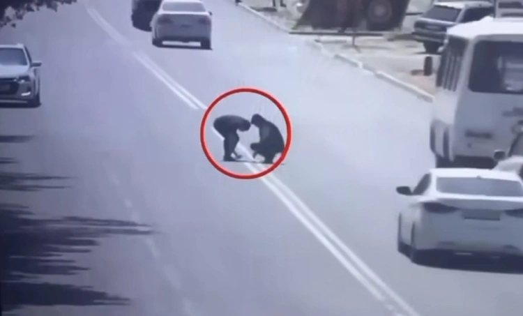 Двойную сплошную линию закрасили жители Тараза