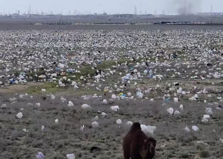 Ветер разнес мусор по степи: шокирующее видео из Мангистауской области