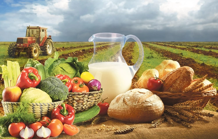 2,1 трлн тенге достиг объем валовой продукции сельского хозяйства