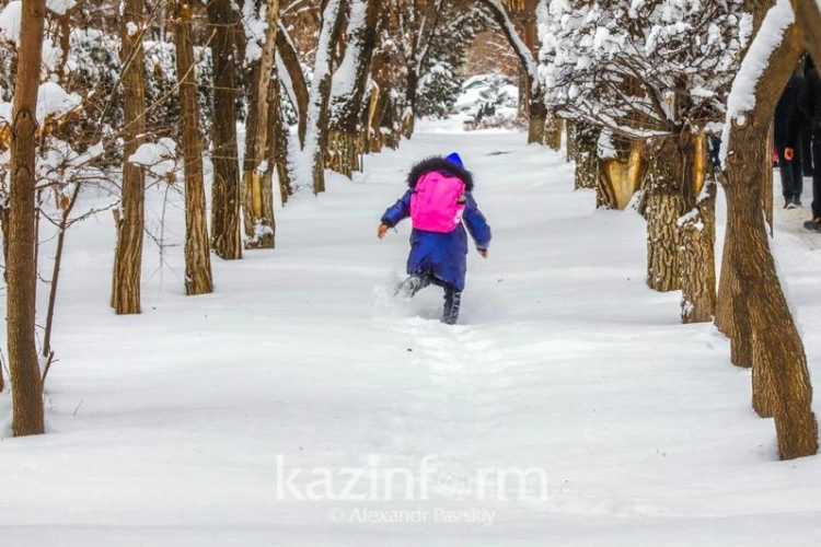 Зимние каникулы для казахстанских школьников продлятся 11 дней