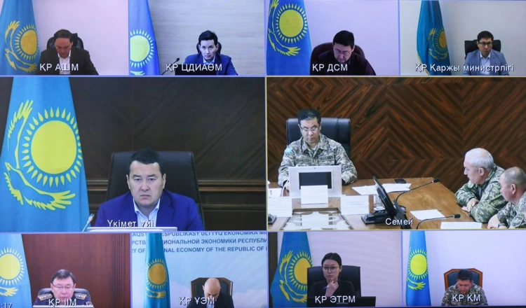 Меры по ликвидации пожара в области Абай обсуждены на совещании в правительстве