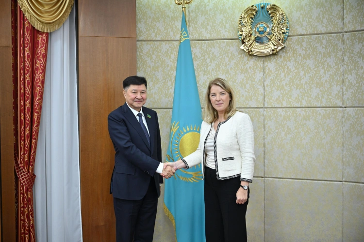 ЕС обеспокоен поправками о запрете «ЛГБТ-пропаганды» в Казахстане