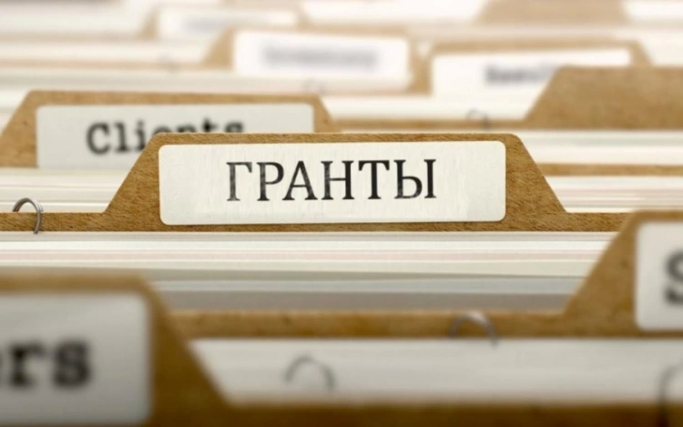 Подведены итоги конкурса долгосрочных государственных грантов
