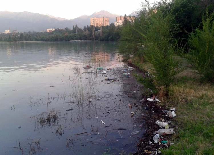 Дно озера Сайран в Алматы очистят к концу года