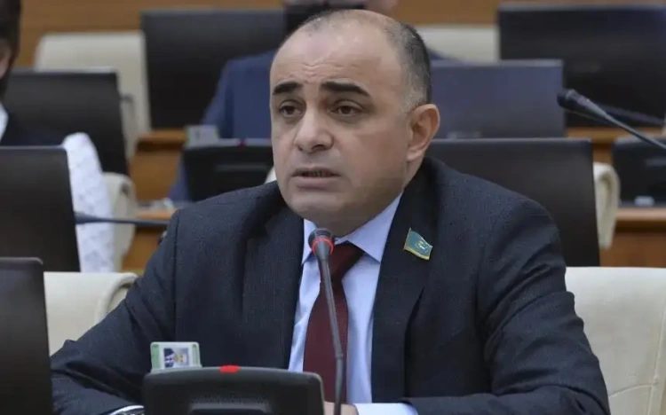 «Что происходит с людьми»: депутат о случае с котёнком в стиральной машине