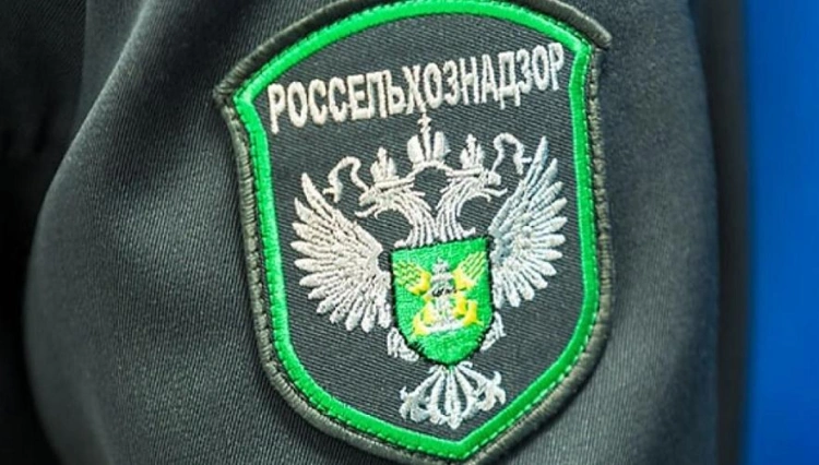 Россия запретила ввоз продукции поставщика домашней птицы из Казахстана