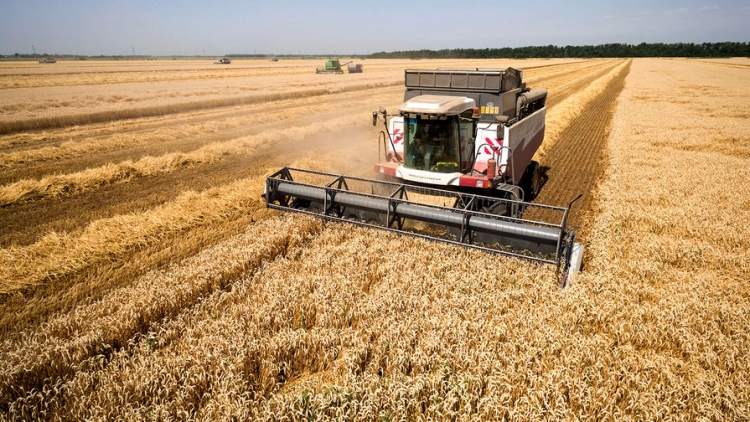 Уборка зерновых находится на стадии завершения во всех регионах Казахстана