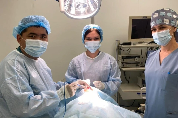МӘМС аясында сәбилерге күрделі жақ-бет хирургиялық көмегі көрсетілді