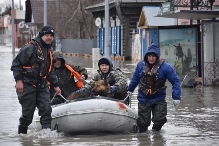 Более 13 тыс. казахстанских семей получили господдержку после паводков