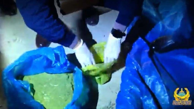 8,5 кг наркотиков изъяли у пятерых мужчин полицейские Алматы