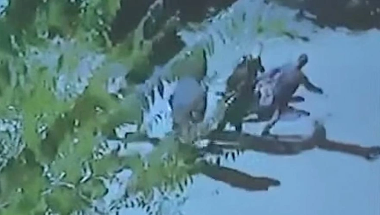 Видео убийства Шерзата Болата показали в суде