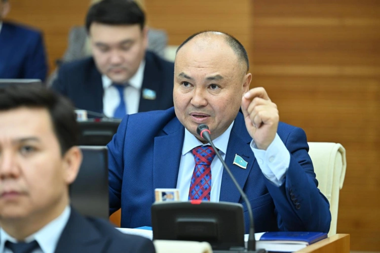 Ввести мораторий на прямые выборы районных акимов предложил депутат