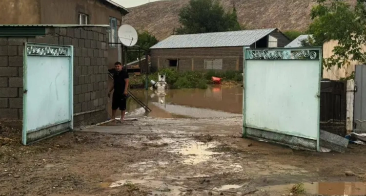 Грязевой поток затопил свыше 20 домов и 200 дворов в Жамбылской области