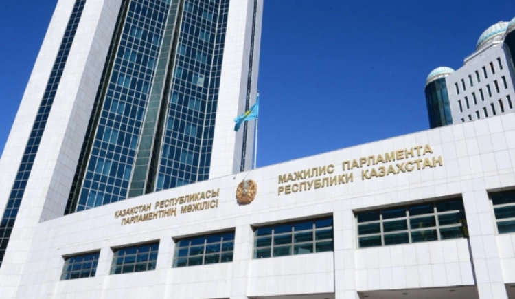 Мажилис в I чтении рассмотрел поправки по вопросам выплат детям из Нацфонда РК