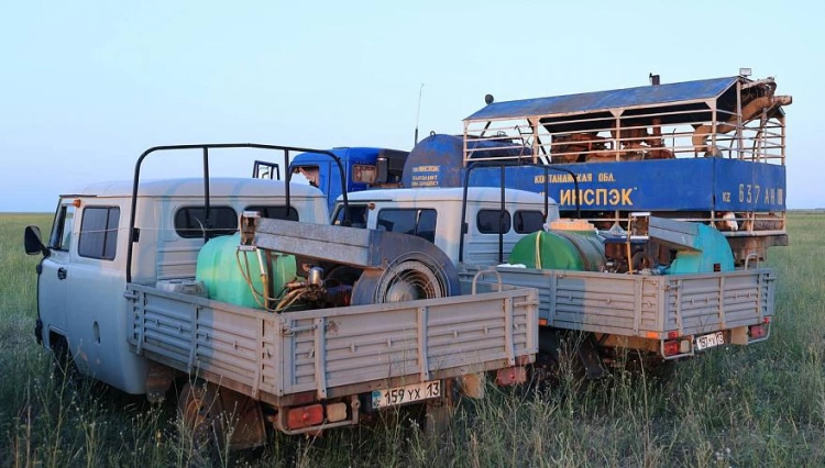 1,1 млн га площади обработано против саранчи в Казахстане