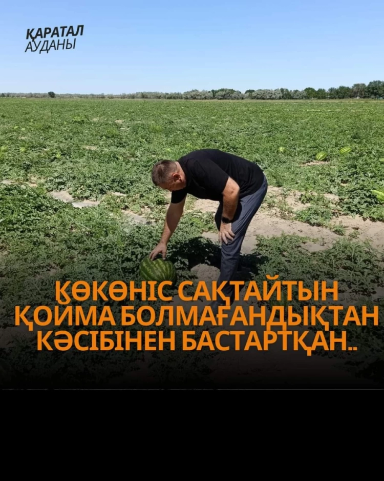 Көкөніс сақтайтын қойма болмағандықтан, кәсібінен бастартқан