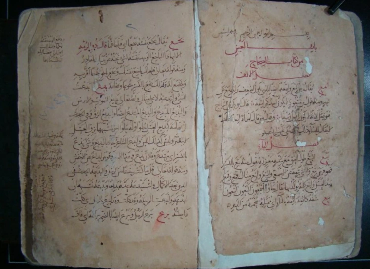 Древняя книга доставлена из Египта в Казахстан