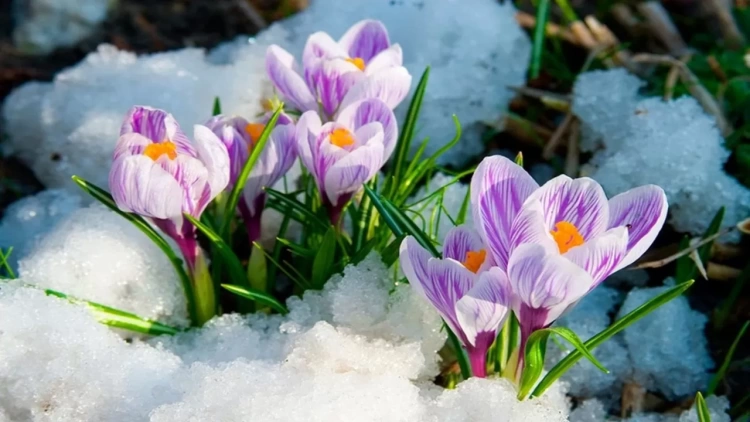 Погода без осадков ожидается в Казахстане 2 марта