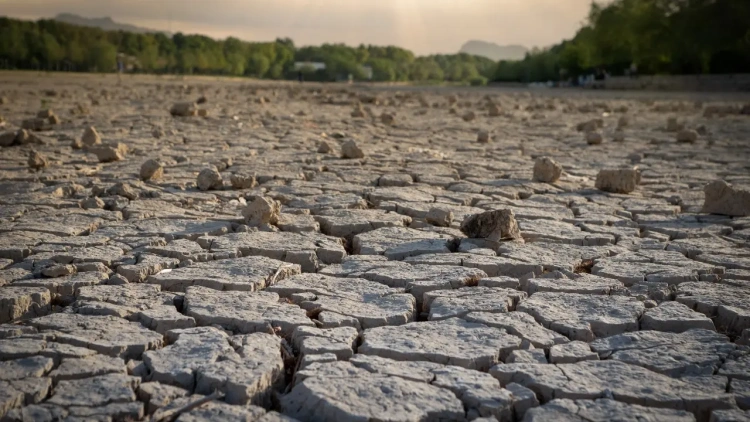 В Минэкологии заявили о существенном изменении погоды и климата в Казахстане