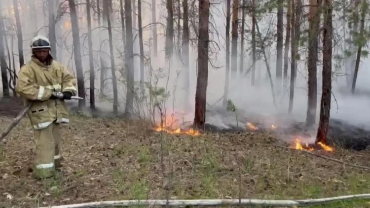 В Бородулихинском районе области Абай произошел пожар