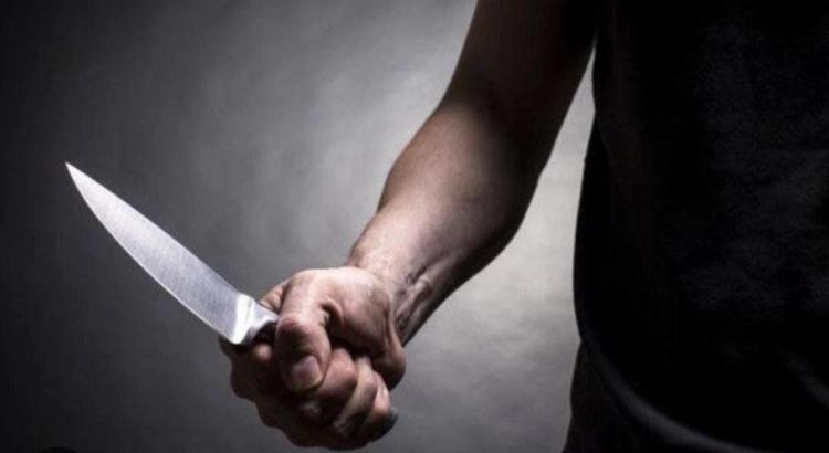 Өзінің туған ағасына пышақ сұққан азамат Н.-ға қатысты іс қаралды.