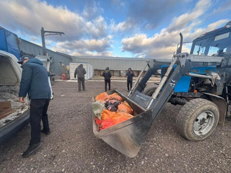В Астане обнаружили подпольный мясной цех: 360 кг субпродуктов уничтожили