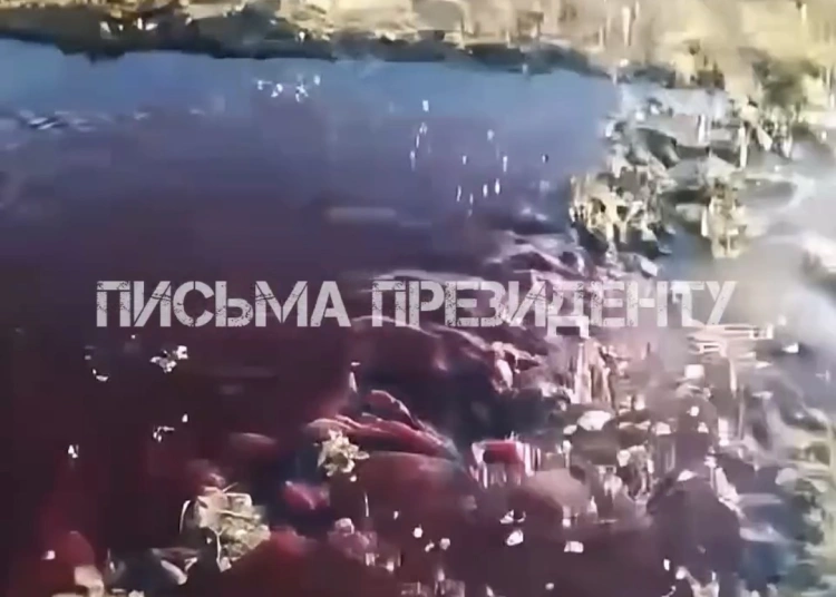 В Щучинске из технического колодца вытекала кровь