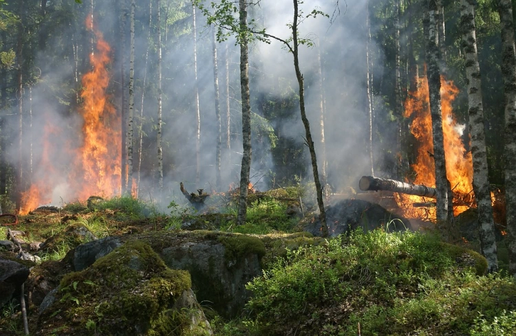 В Карагандинской области продолжается тушение очагов природного пожара
