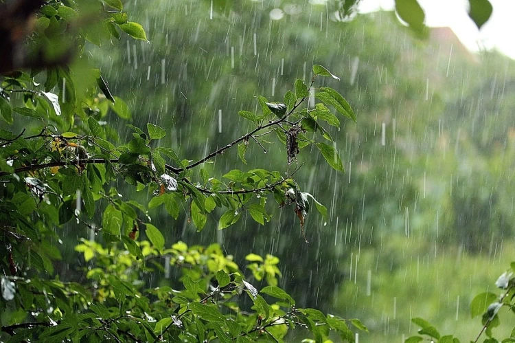 Дожди ожидаются почти во всей территории Казахстана