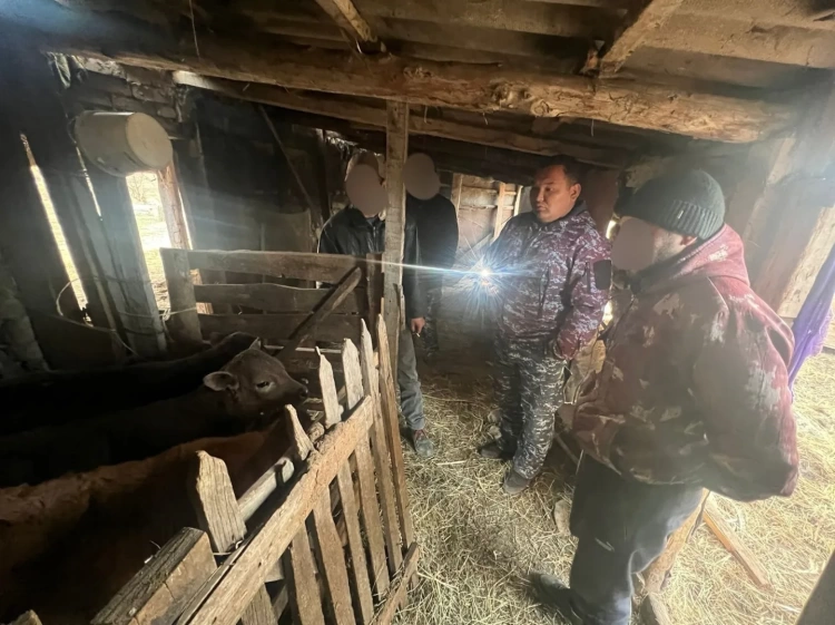 Похищенное барамтычами скотопоголовье возвращают сельчанам в Жетісу