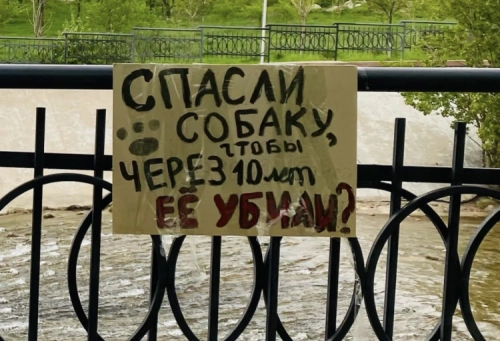 Акция против эвтаназии бездомных животных прошла в Алматы